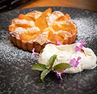 Apricot Tart dessert photography