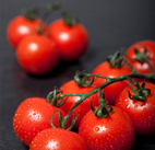 Vine of Cherries Tomatoes with needing food photography
